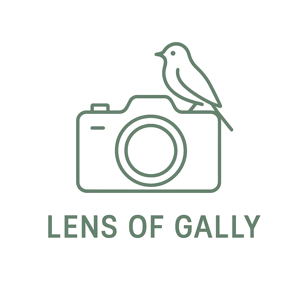 Lens of Gally
